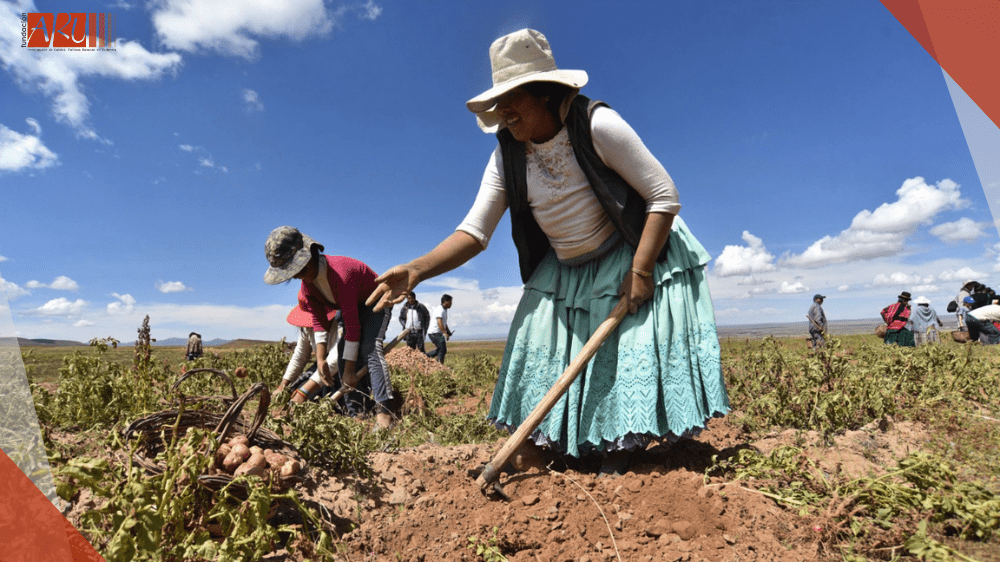 Economic inclusion program for families and rural communities in the territory of the Plurinational State of Bolivia
