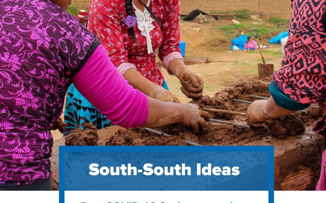 Post-COVID-19 Socio-economicPolicy Responses and South-SouthCooperation Opportunities in the Andean region