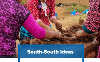 Post-COVID-19 Socio-economicPolicy Responses and South-SouthCooperation Opportunities in the Andean region